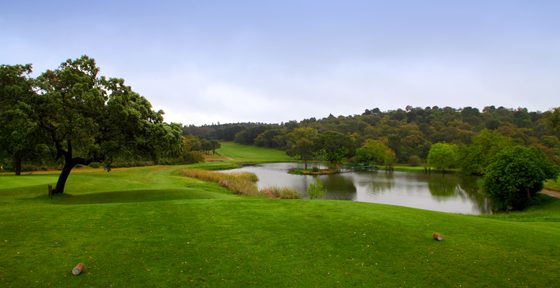 Los Campos y Clubes de Golf ante la implantación del estado de alarma