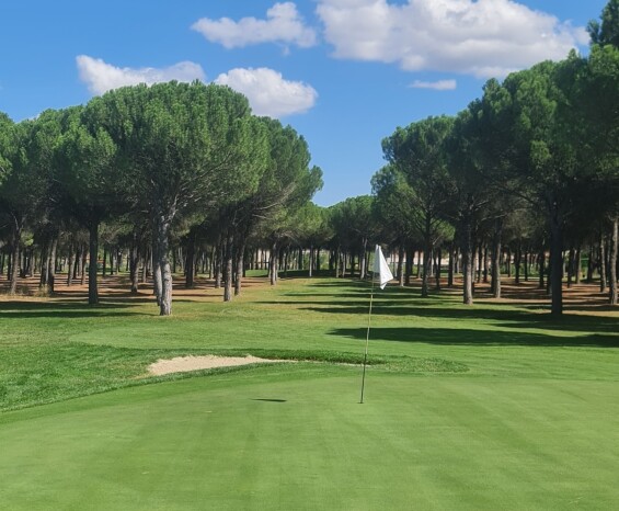 Aldeamayor Club de Golf recibe el Premio Campo Excelencia de Pitch & Putt 2023