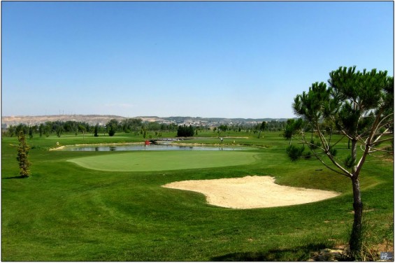 Castilla y León acude al Campeonato de España Interautonómico de Pitch & Putt