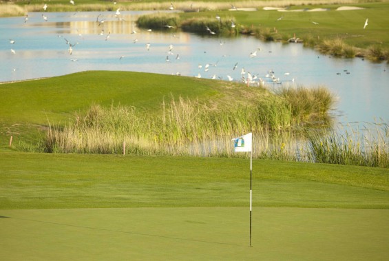 El Campeonato de España Sub 16 REALE, nueva cita para las promesas del golf castellanoleonés