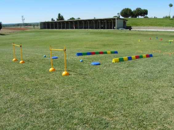 Quinta concentración de Benjamines promovida por la FGCyL en Sotoverde