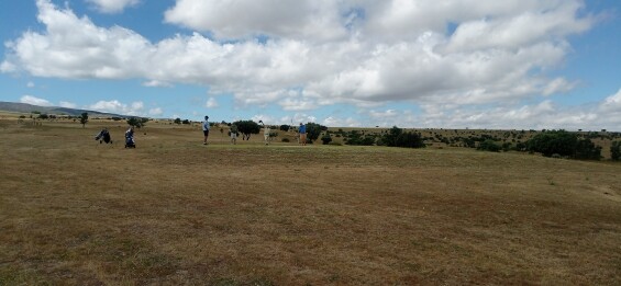 RESULTADOS – Prueba Local Copa de 9 hoyos de Castilla y León en Dehesa de Morón, Isla Dos Aguas, El Espinar y Villarrín