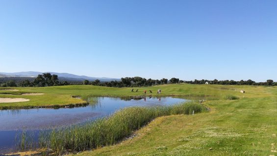 V Prueba del Campeonato Regional de Castilla y León 2019 en Wegolf – La Almarza