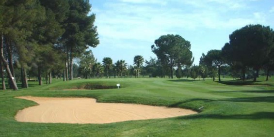 Miguel Cantero, tercero, al borde al victoria en el Circuito de Madrid de Profesionales en Somosaguas