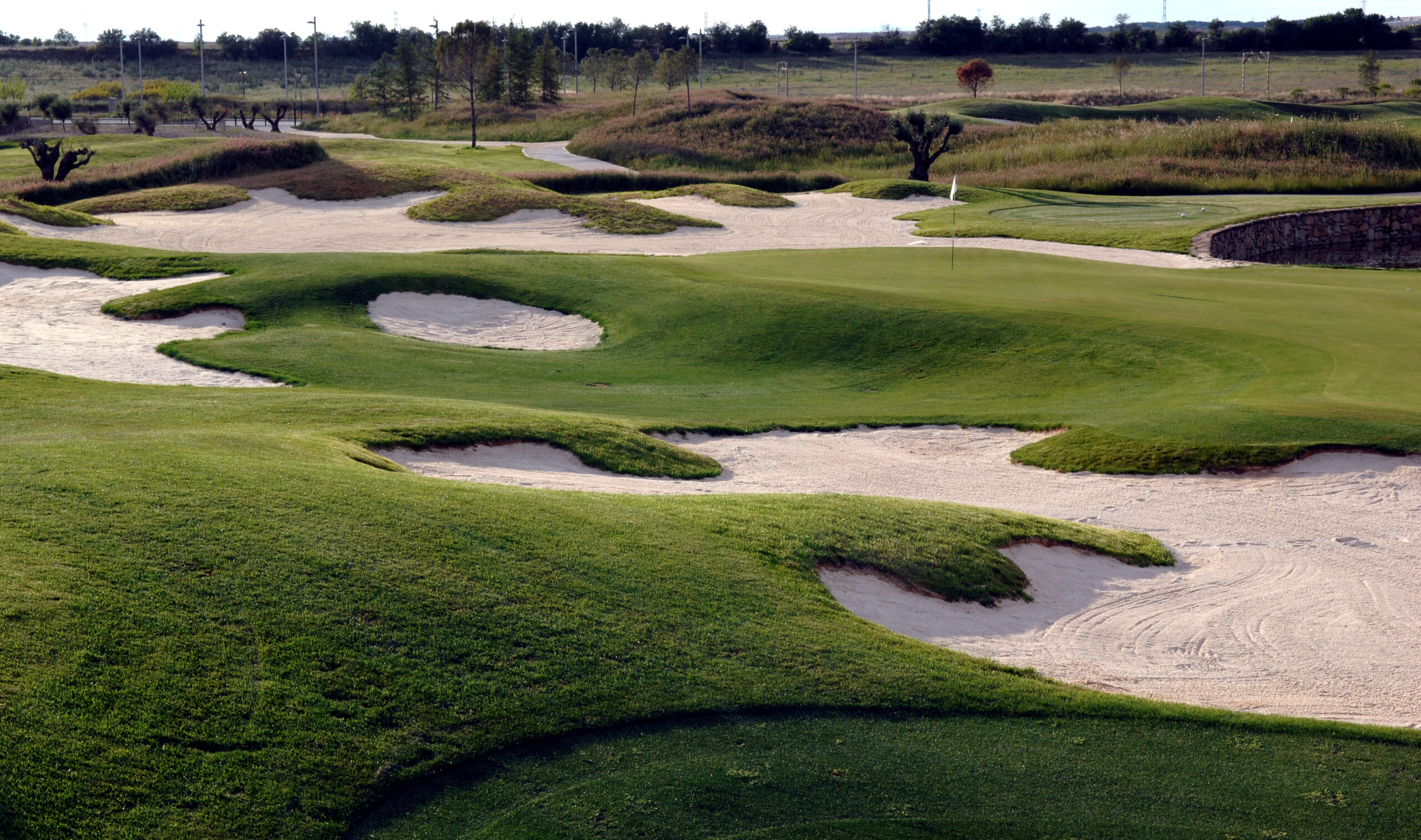 RESULTADOS ON LINE – II Prueba del Circuito de Madrid de Profesionales 2026